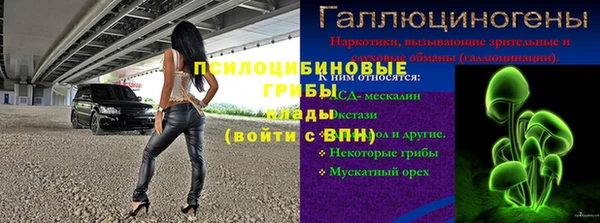 ПСИЛОЦИБИНОВЫЕ ГРИБЫ Верхний Тагил